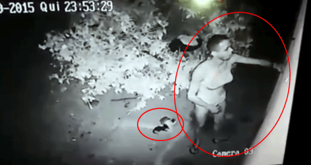 Enquanto o indivíduo praticava o ato dois gatinhos testemunha a ação. 