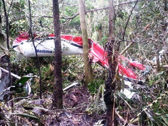 Helicóptero caiu em uma área de mata em Bertioga, no litoral de São Paulo (Foto: Divulgação / Polícia Militar)