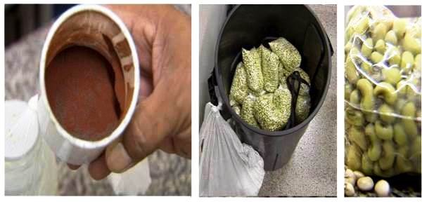 Os sacos de feijão eram vendidos no Centro de Fortaleza. (Foto: TV Verdes Mares/Reprodução)