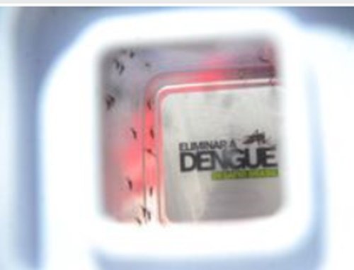 dengue