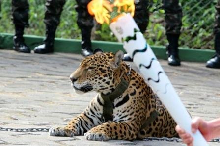 Foto: Jair Araujo / Diario do Amazonas / AFP / Diario do Amazonas / AFP