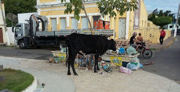A foto parece ser antiga, mais virazou recentemente | Imagem: Reprodução Facebook