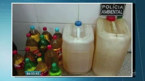 Material ilícito estava em mercantil da localidade de Sítio Brejinho (Foto: Reprodução/TV Verdes Mares)