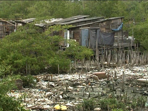Para evitar infestação, população teve ter cuidados com criadouros do mosquito (Foto: Reprodução)