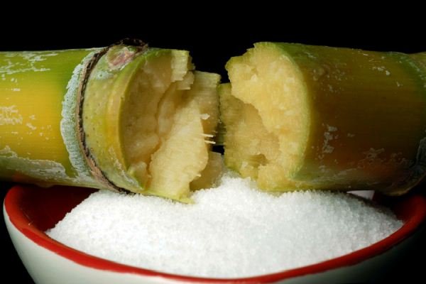 Cana e açúcar |Imagem: Reprodução epochtimes, CSIRO/Wikimedia Commons