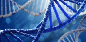 dna