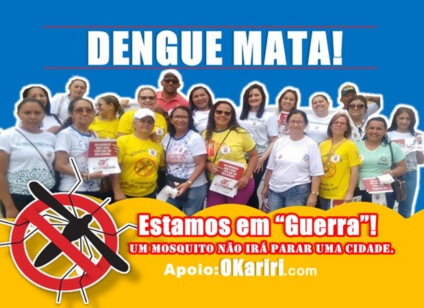 Mosquito Aedes aegypti