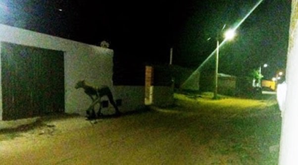 Lobisomem em Exu-PE  | Imagens: Internet