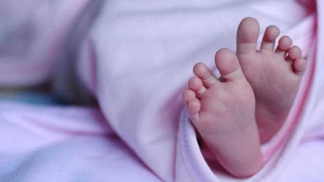 Bebe sobrevive a picada de escorpião