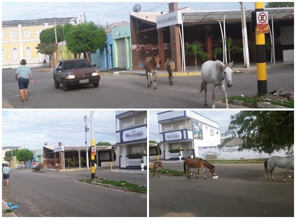 Fotos enviadas por um leitor