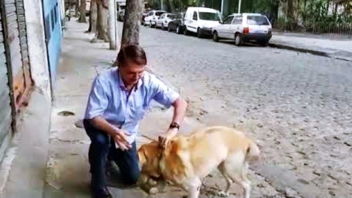 Bolsonaro